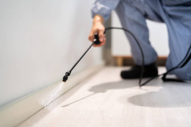 Licensed Pest Control service in Henderson, LA - Show Me Pest Control