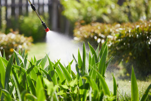24/7 Emergency Mosquito Control experts in Henderson, LA
